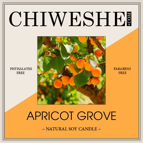 Apricot Grove Natural Soy Candle Yogurt Jar (7 oz.) Apricot Grove Natural Soy Candle Yogurt Jar (7 oz.)