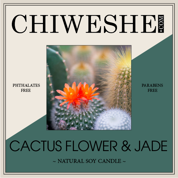 Cactus Flower & Jade Natural Soy Candle Frosted Jar (6 oz.) Cactus Flower & Jade Natural Soy Candle Frosted Jar (6 oz.)