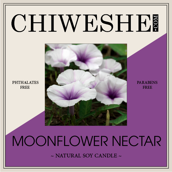 Moonflower Nectar Natural Soy Candle Frosted Jar (6 oz.) Moonflower Nectar Natural Soy Candle Frosted Jar (6 oz.)