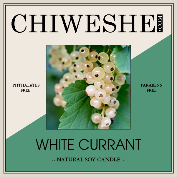 White Currant Natural Soy Candle Yogurt Jar (7 oz.) White Currant Natural Soy Candle Yogurt Jar (7 oz.)