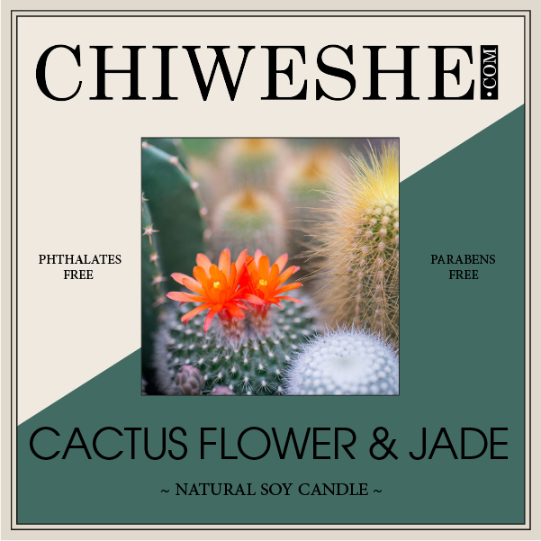 Cactus Flower & Jade Natural Soy Candle Frosted Jar (6 oz.)