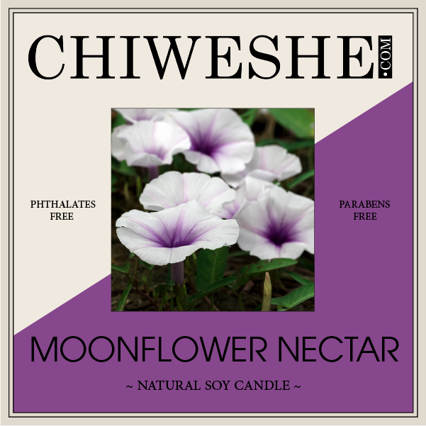 Moonflower Nectar Natural Soy Candle Frosted Jar (6 oz.)