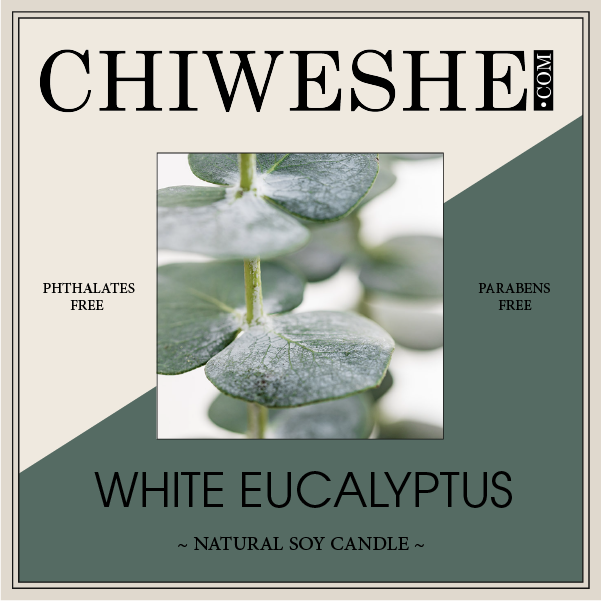 White Eucalyptus Natural Soy Candle Yogurt Jar (7 oz.)